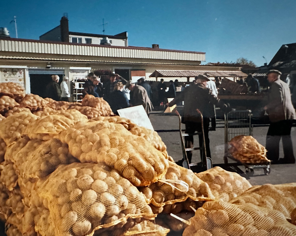 Börjes skördemarknad